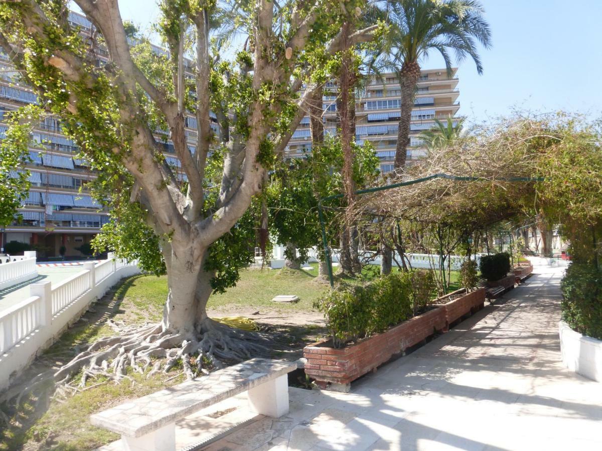 Family And Friends - San Juan Playa Apartman Alicante Kültér fotó